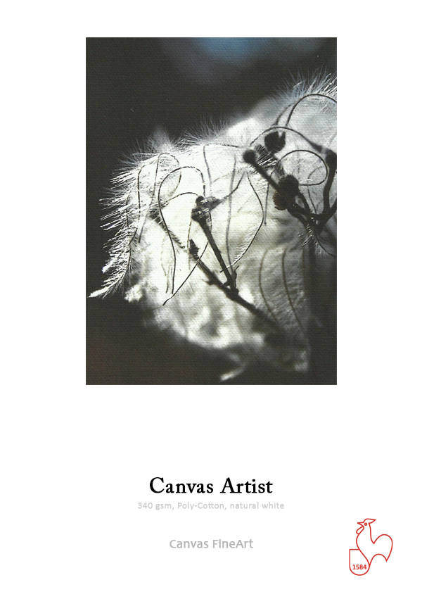 Canvas Artist