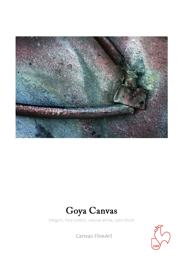 Goya Canvas