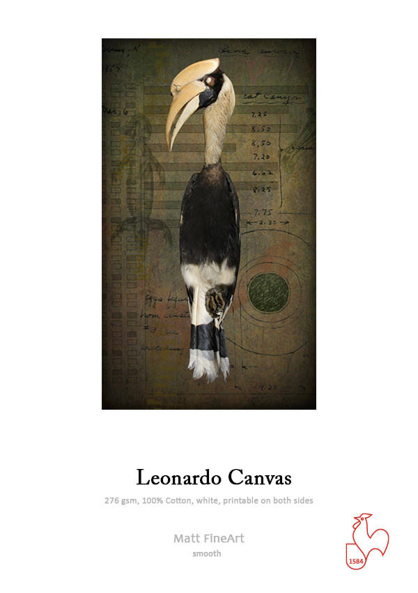 Leonardo Canvas