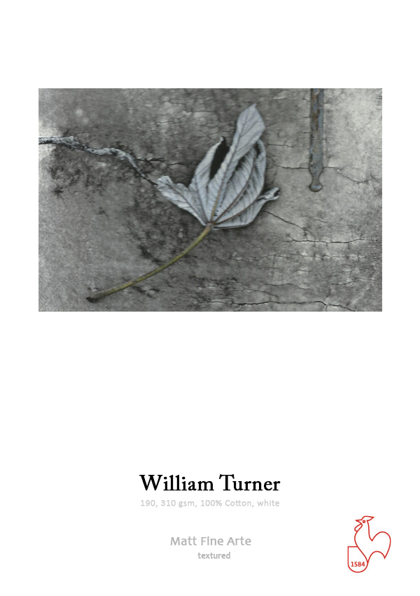 William Turner